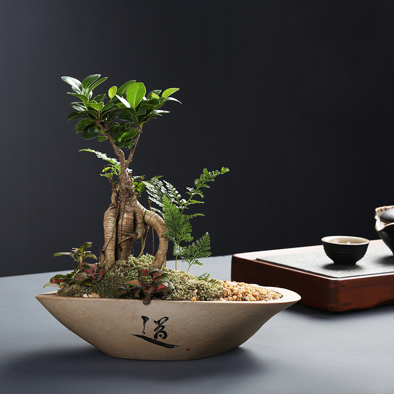 Creative imitation stone flower pot ceramic meaty plant small green plant pot desktop boutique bonsai clearance sale bag in the mail