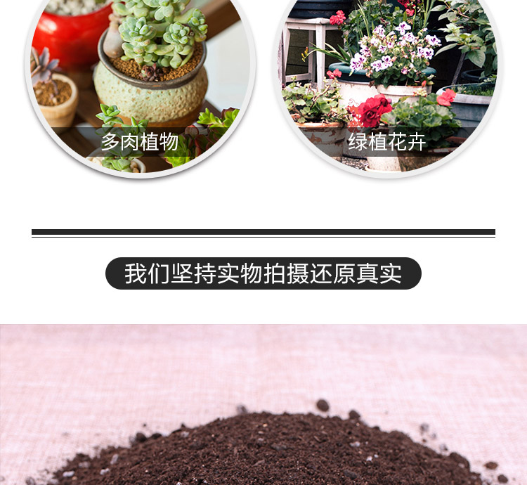 Tiger orchid anthurium fruit fleshy camellia bougainvillea silk bamboo of curvature of the Venus flytrap dedicated nursery soil nutrients