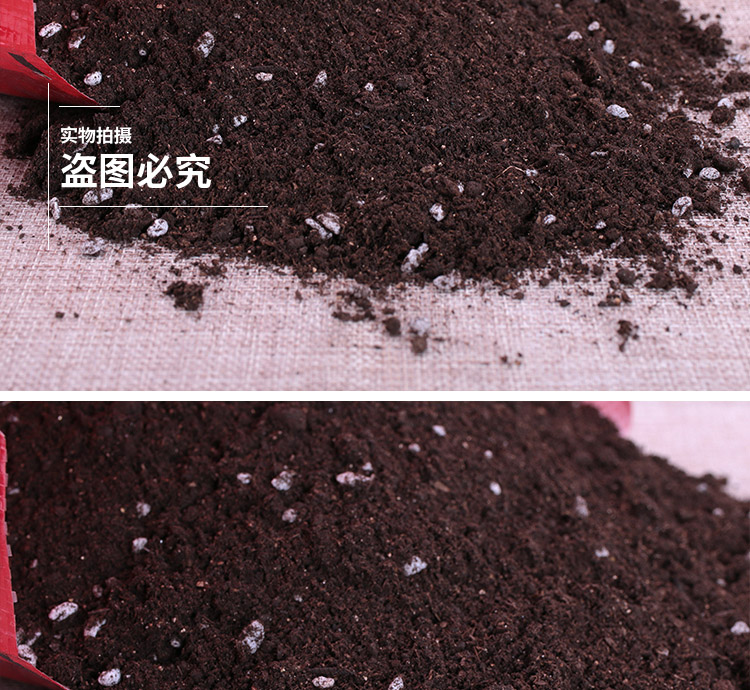 Jasmine gardenia cuckoo blueberry camellia michelia XiXing plant universal nutritional soil acid soil