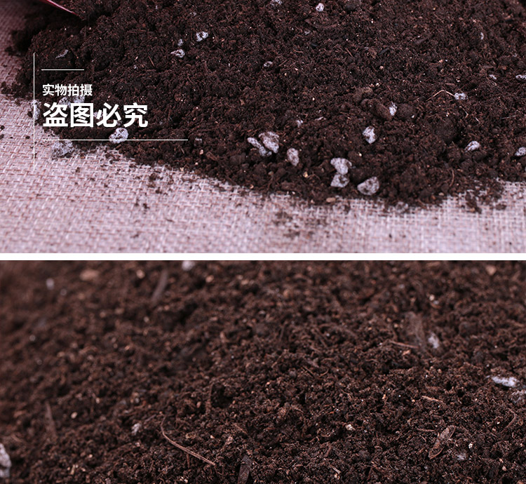 Jasmine gardenia cuckoo blueberry camellia michelia XiXing plant universal nutritional soil acid soil