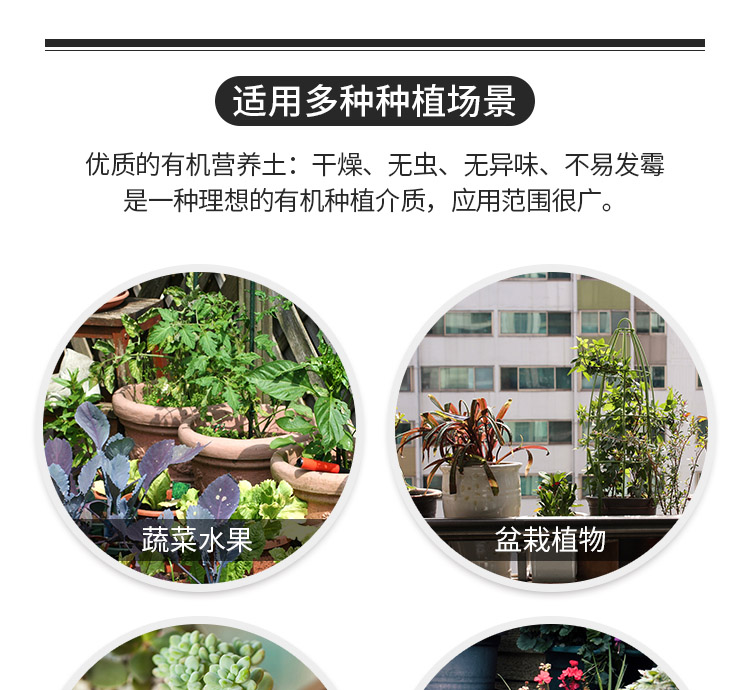 Jasmine gardenia cuckoo blueberry camellia michelia XiXing plant universal nutritional soil acid soil