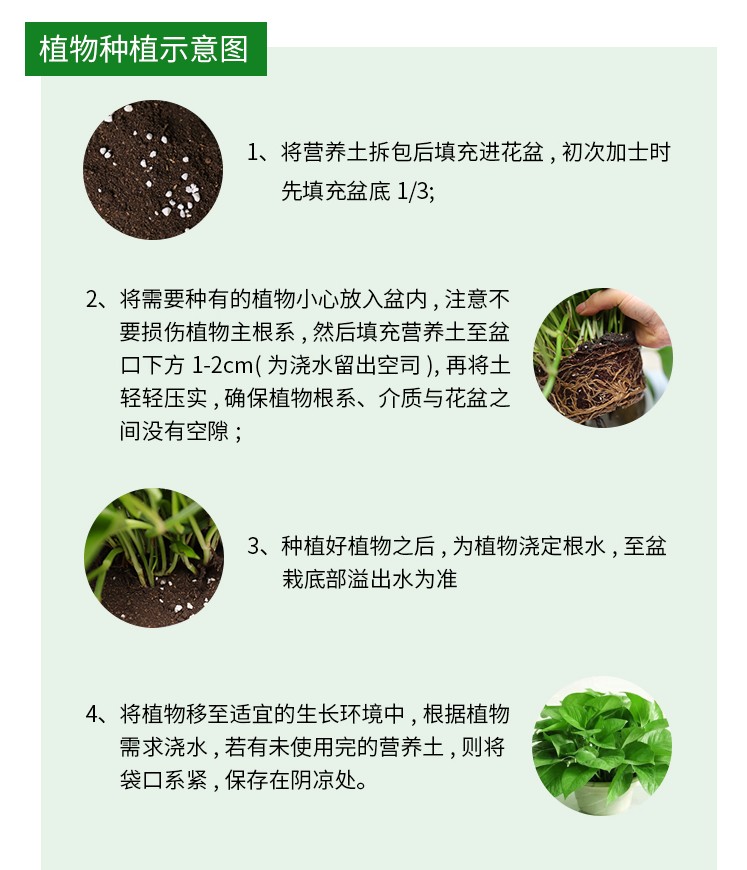 Jasmine gardenia cuckoo blueberry camellia michelia XiXing plant universal nutritional soil acid soil