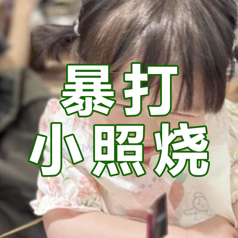 暴打小照烧的LOGO