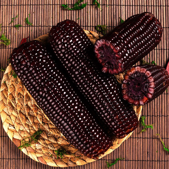 Fresh black waxy corn 10 sticks 2200g non-GMO purple sticks ready-to-eat vacuum Northeastern sweet corn