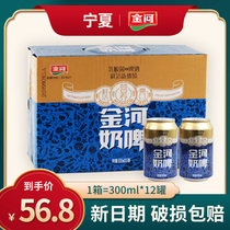 Jinhe milk beer Whole box beverage canned 300ml*12 Non-beer Qingdao lactic acid bacteria beverage milk beer