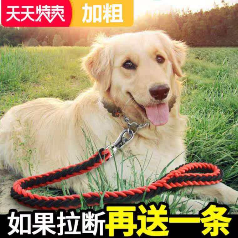 Bolt dog chain son dog rope Medium large dog traction rope Kimura Labrador Dog Rope Item Ring Plus Coarse Anti Bite