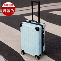 Mint Green 【High Bright Model 306】