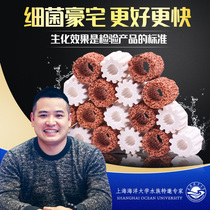 Fish tank filter material full set of bacterial house water purification biochemical quartz ball Nano aquarium fish pond nitrifying bacteria filter material