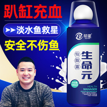 Help the star life yuan butterfly carp koi lanshou Taishi universal disease treatment sterilization tank congestion water mold Special