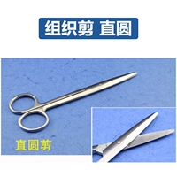 18cm 【直圆头】