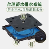 Ящик для посадки на балконах Семейный посадка овощей