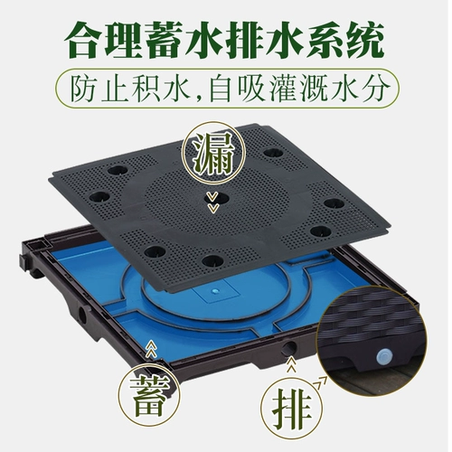 Ящик для посадки на балконах Семейный посадка овощей