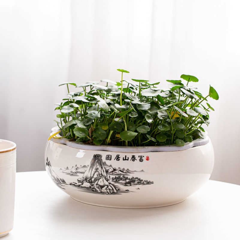 Ceramic oversized hydroponic flower pot glass vase more meat other grass daffodils cooper C water lily nonporous vessels