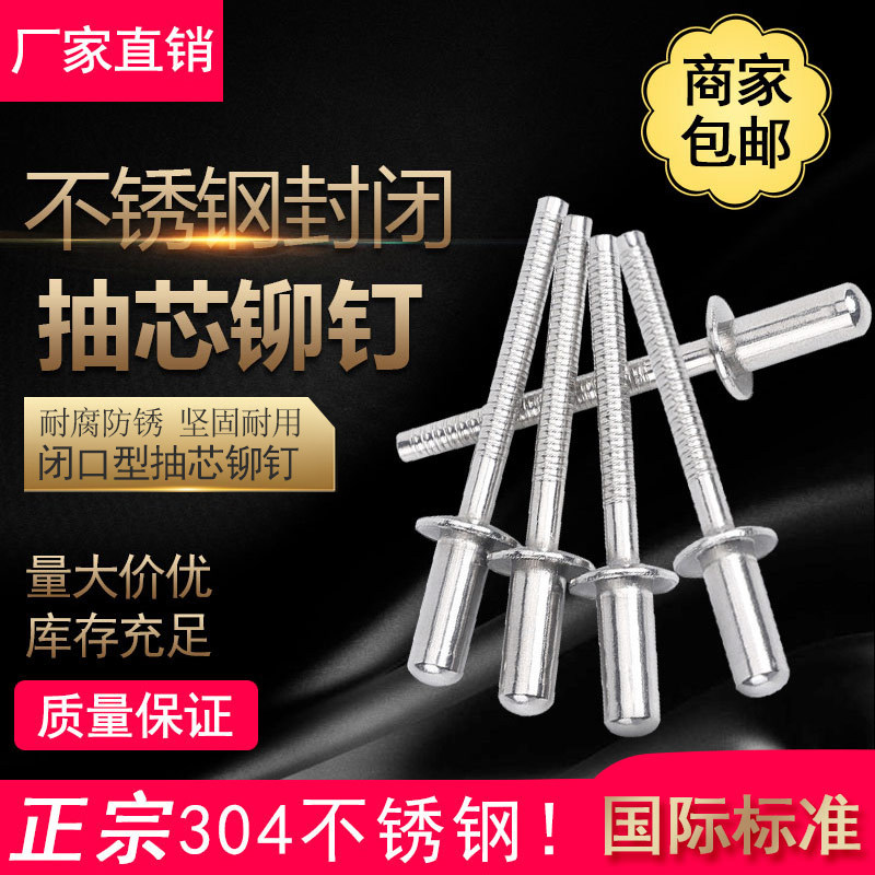 304 Stainless Steel Closed Rivet Waterproof Rivet Closed Core Drawr Aluminum Pull Rivet M3.2M4M4.8M5