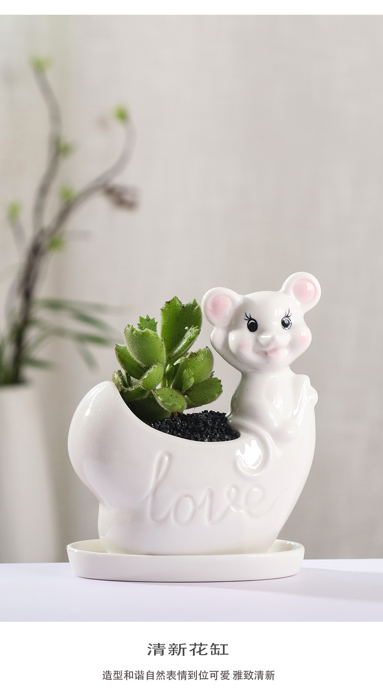 Flowerpot ceramic small express it in the cartoon, fleshy special offer a clearance of creative move desktop the plants and animals take place