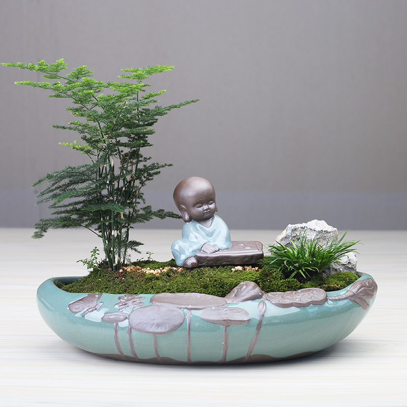 Little flowerpot ceramic creative move Chinese wind asparagus rich tree pot to restore ancient ways more meat shallow basin large clearance