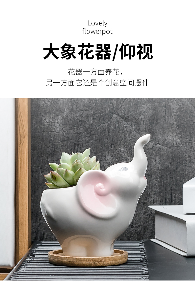 Contracted white cartoon animal meat flowerpot more creative ceramic trumpet with tray desktop celestial being plant POTS