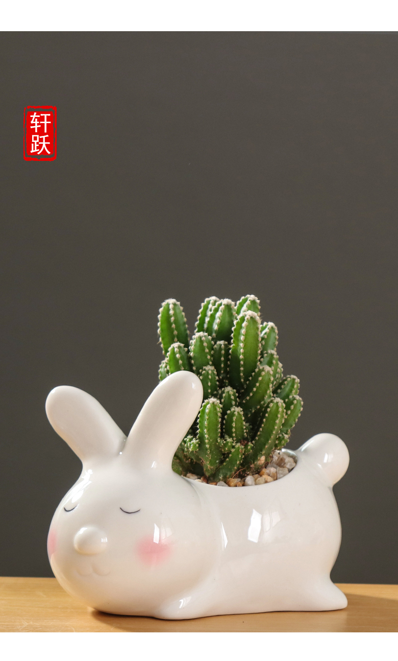 Creative cartoon animal, lovely small white rabbit ceramic flowerpot more meat desktop art flower pot plant furnishing articles