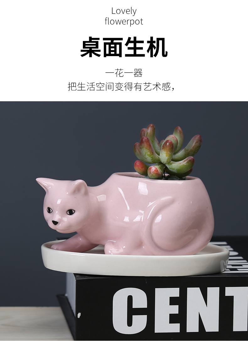 Cartoon animal plant POTS ceramic creative move more meat to indoor small potted flower, white porcelain with tray