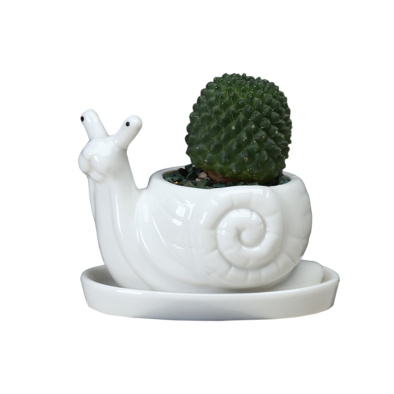 Creative move and lovely cartoon animal flowerpot more meat ceramic white office desktop small potted flower implement with tray
