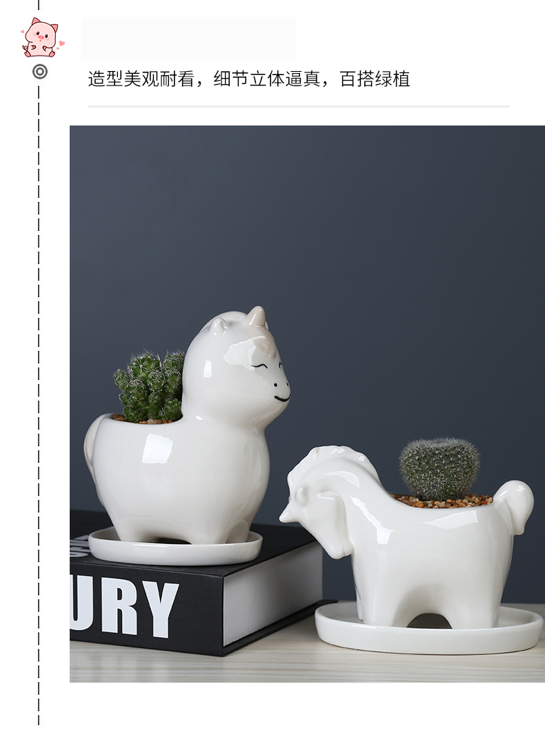 Flowerpot ceramic creative cartoon, fleshy meat meat basin is the balcony decoration desktop lovely the plants potted tray