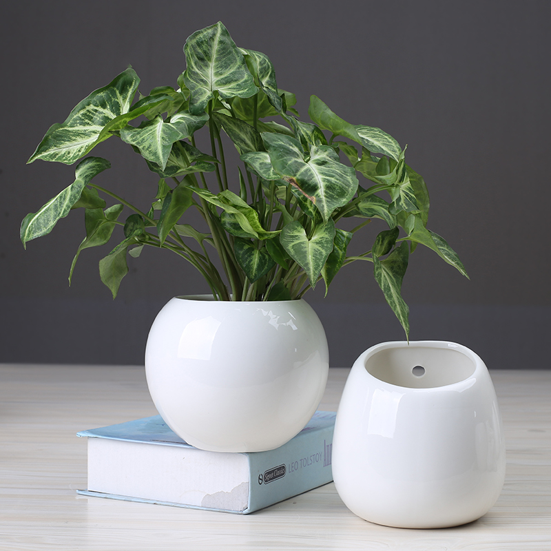 Copper grass hydroponic flower pot creative other special ceramic vase clearance contracted daffodil water raise hanging POTS