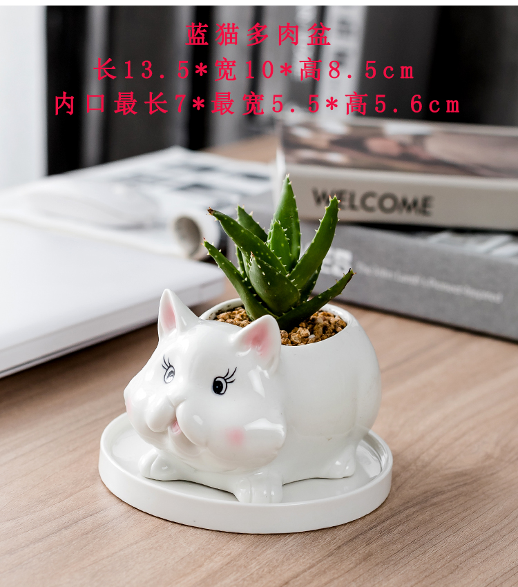 Department of European style of the cartoon animal pig meat flowerpot creative move more lovely hand - made ceramic flower pot home sitting room