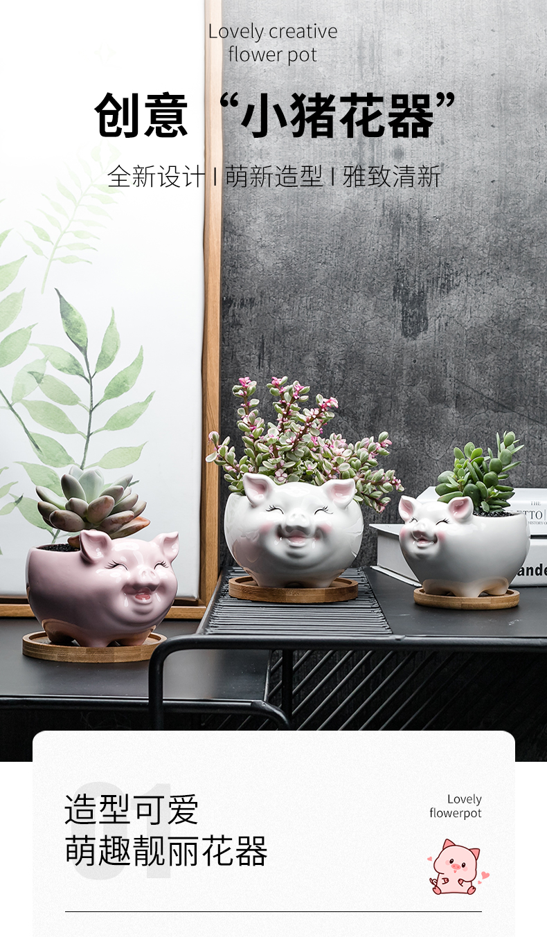 Contracted white cartoon animal meat flowerpot more creative ceramic trumpet with tray desktop celestial being plant POTS