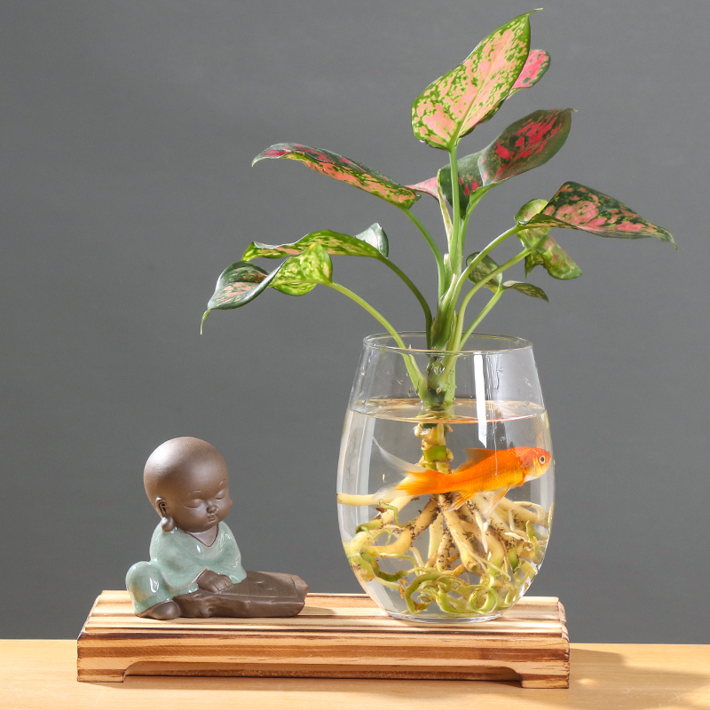 Creative aquatic the plants hydroponics ceramic vase desktop sitting room other copper flower small place grass anthurium vessels