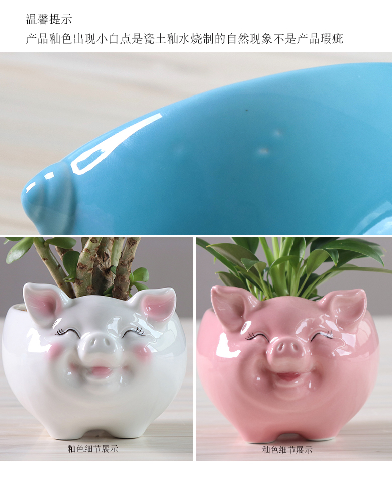 Simple cartoon fleshy flowerpot ceramic creative move, lovely pig sitting room plant white flower pot money plant