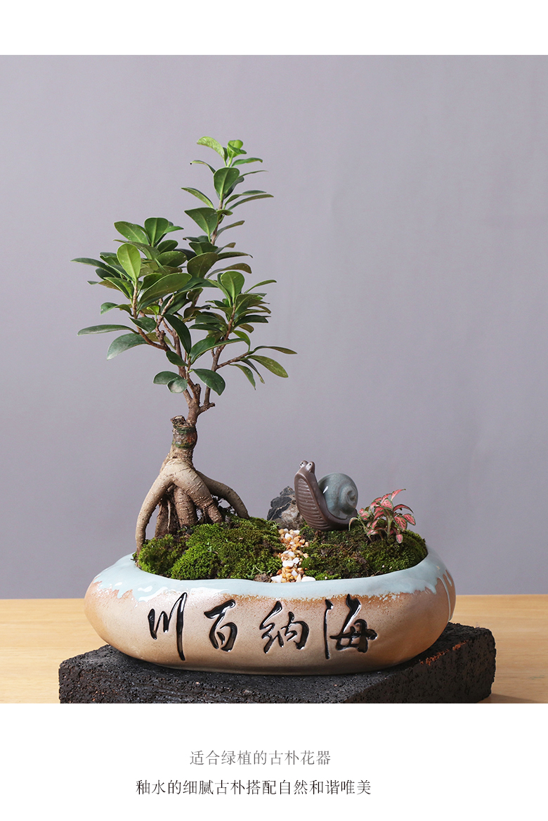 Chinese ceramic flower pot creative move household green plant asparagus indoor potted tree special large flower pot