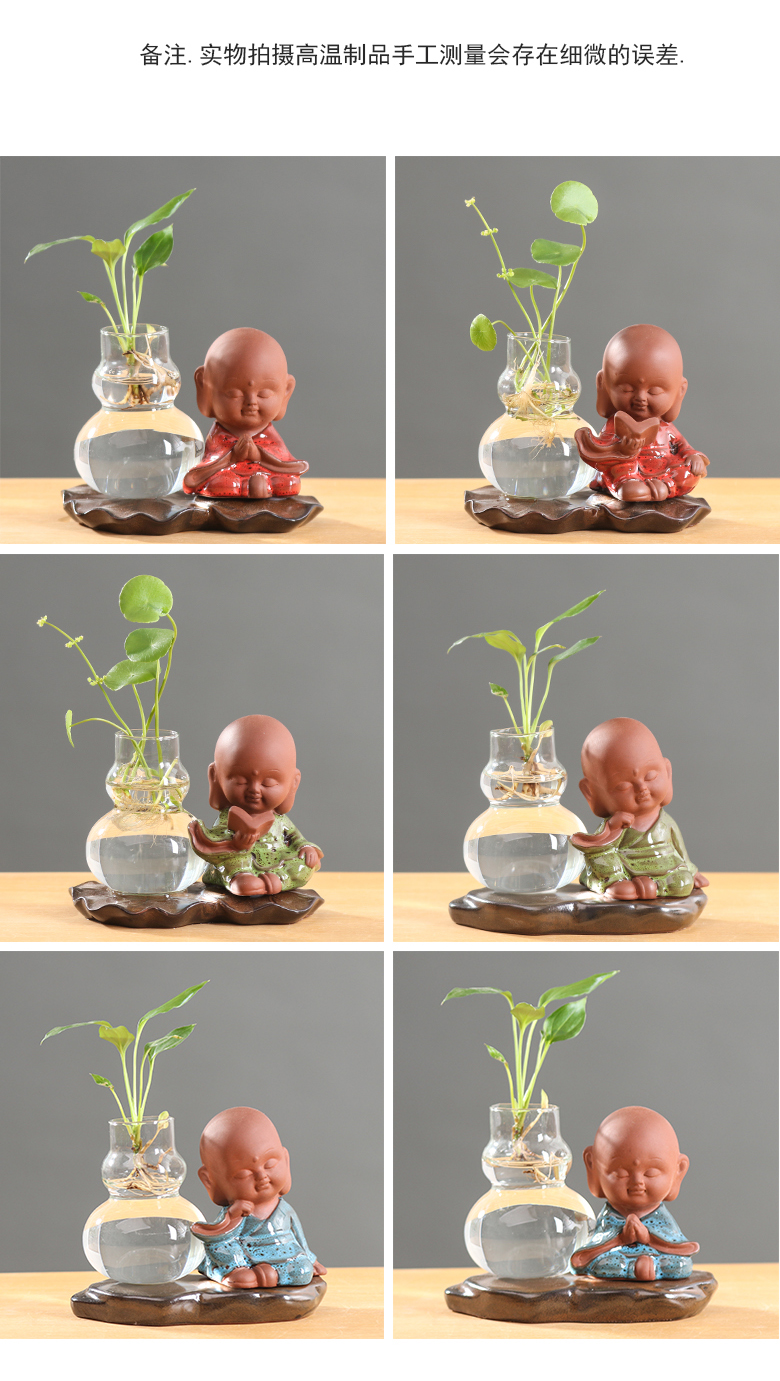 Creative water raise money plant hydroponic glass transparent pot pottery the plants flower vase desktop small place