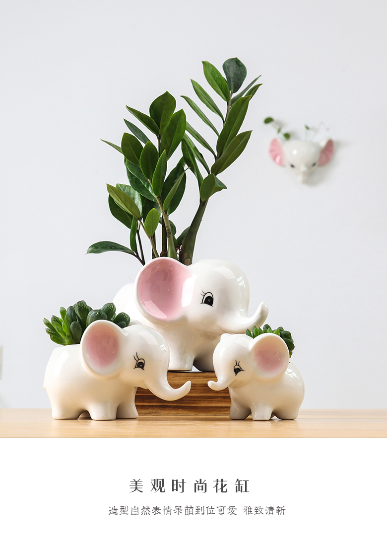 European contracted sitting room of indoor the plants flower pot home creative move and lovely cartoon ceramic flowerpot flower implement more meat