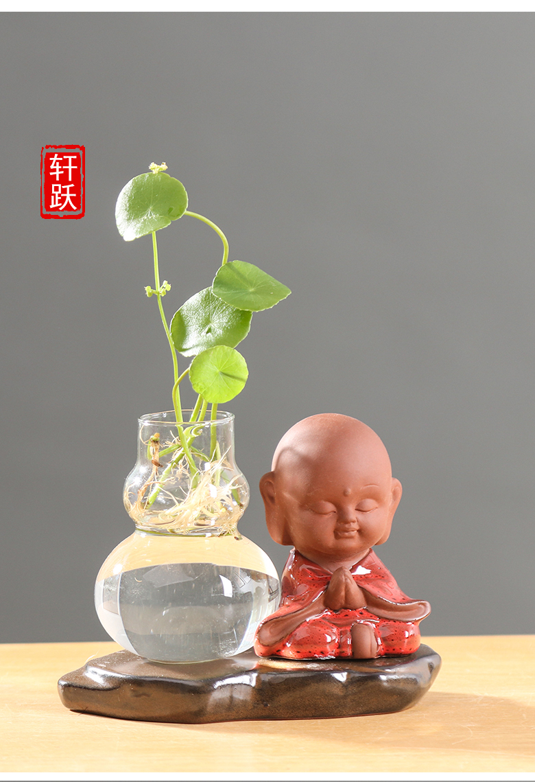 Creative water raise money plant hydroponic glass transparent pot pottery the plants flower vase desktop small place