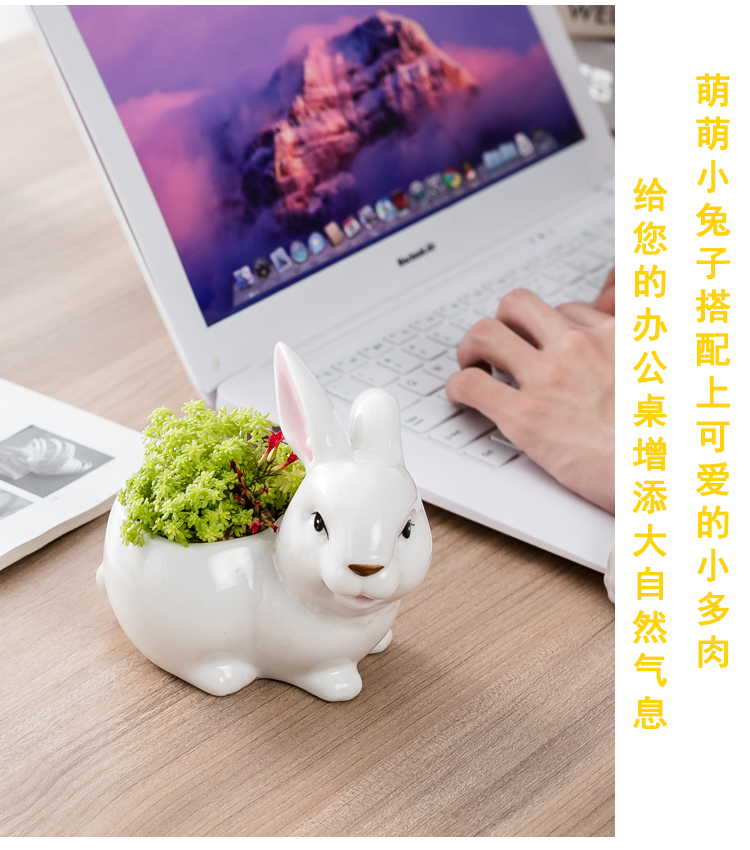 Porch make creative move hand - made ceramic flowerpot more meat small lovely white desktop flower implement rabbit potted the plants