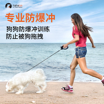 Explosion-proof Punch Pet Trainer for dog Divine Instrumental Remote Remote Control Dog dog Electronic Item Circle Belt