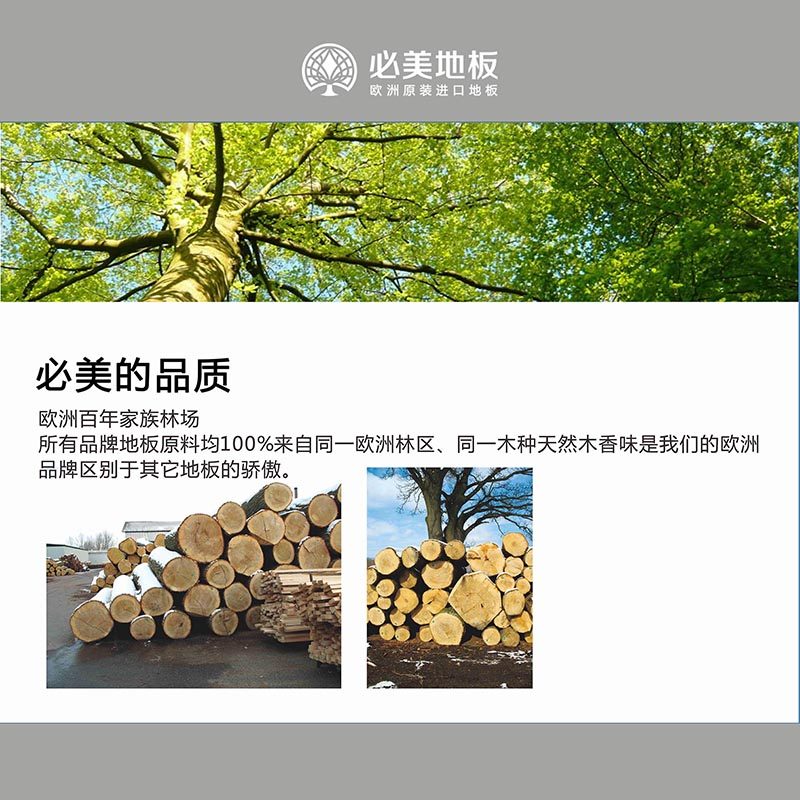 地板进口品牌怎么排？哪些更值得选？木地板选购指南🌟-地板品牌-淘宝百科网