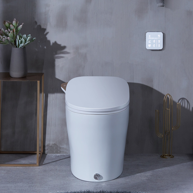 Moon's new MOEN smart environmental protection toilet in one home household water saving toilet SW1294C D