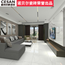 Nobel Cézanne Impression marble tiles living room floor tiles bedroom wall tiles VS88 series 800×800