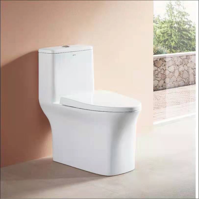 The arrow toilet toilet whirlpool absorbed water pumped water and splash toilet AB 1606M