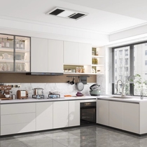 OPNI kitchen integrated cabinet custom home open quartz stone countertop wall cabinet--Shelley