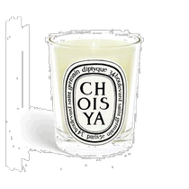Diptyque series scented candle 190g berry scent benzoin orange blossom