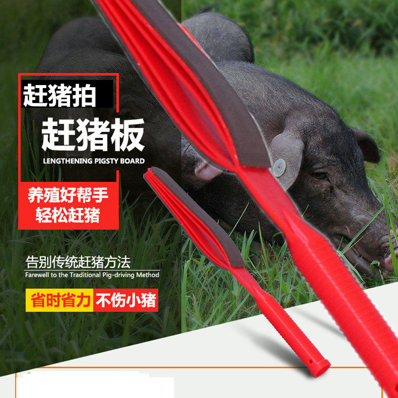Catching pigs, clapping pigs, coaxing pigs, clapping pigs, loud noises, clapping pigs, commonly used equipment, pig raising equipment