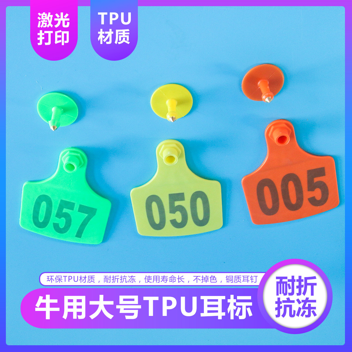 Cow ear tag with laser band word, cow ear tag, cow ear tag, cow ear tag, animal ear tag
