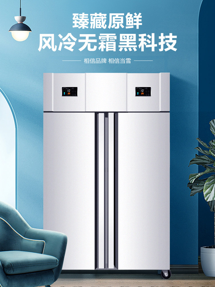 Dangxue commercial air-cooled freezer freezer low-temperature dough buns dumpling freezer baking mousse plug-in refrigerator