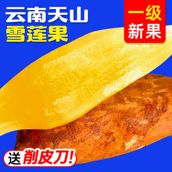 Yunnan fruit tianshan yacon fruit fresh fruit