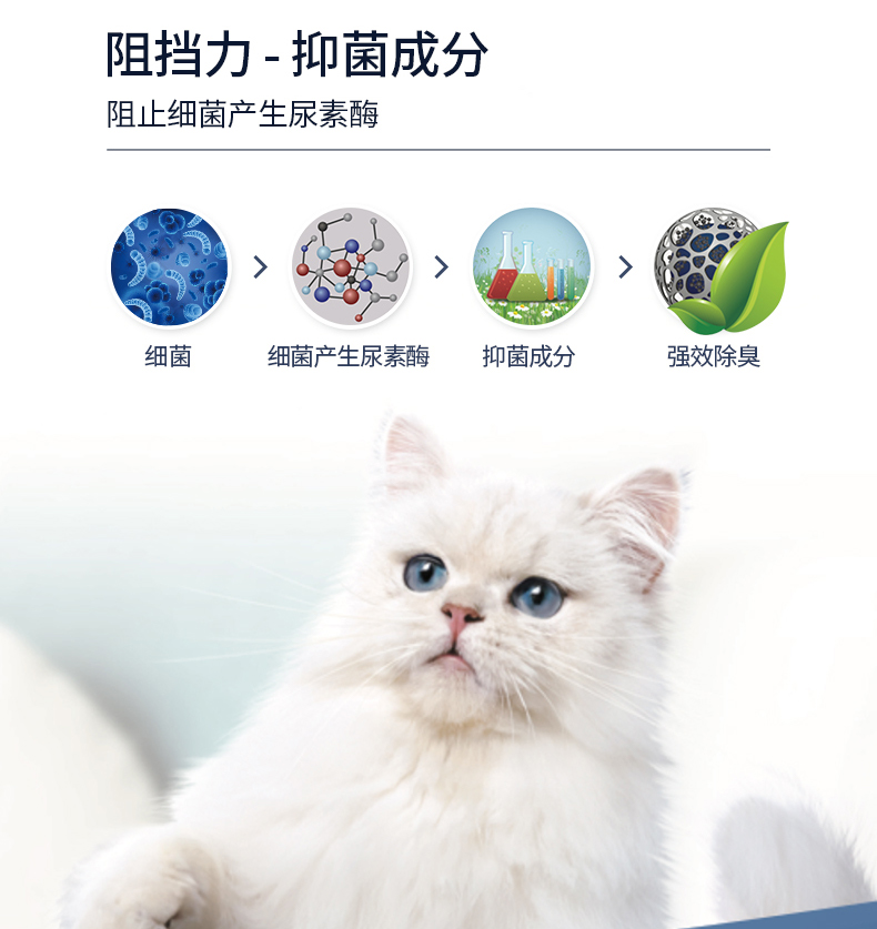 EverClean 铂钻 除臭膨润土猫砂 25磅 图5
