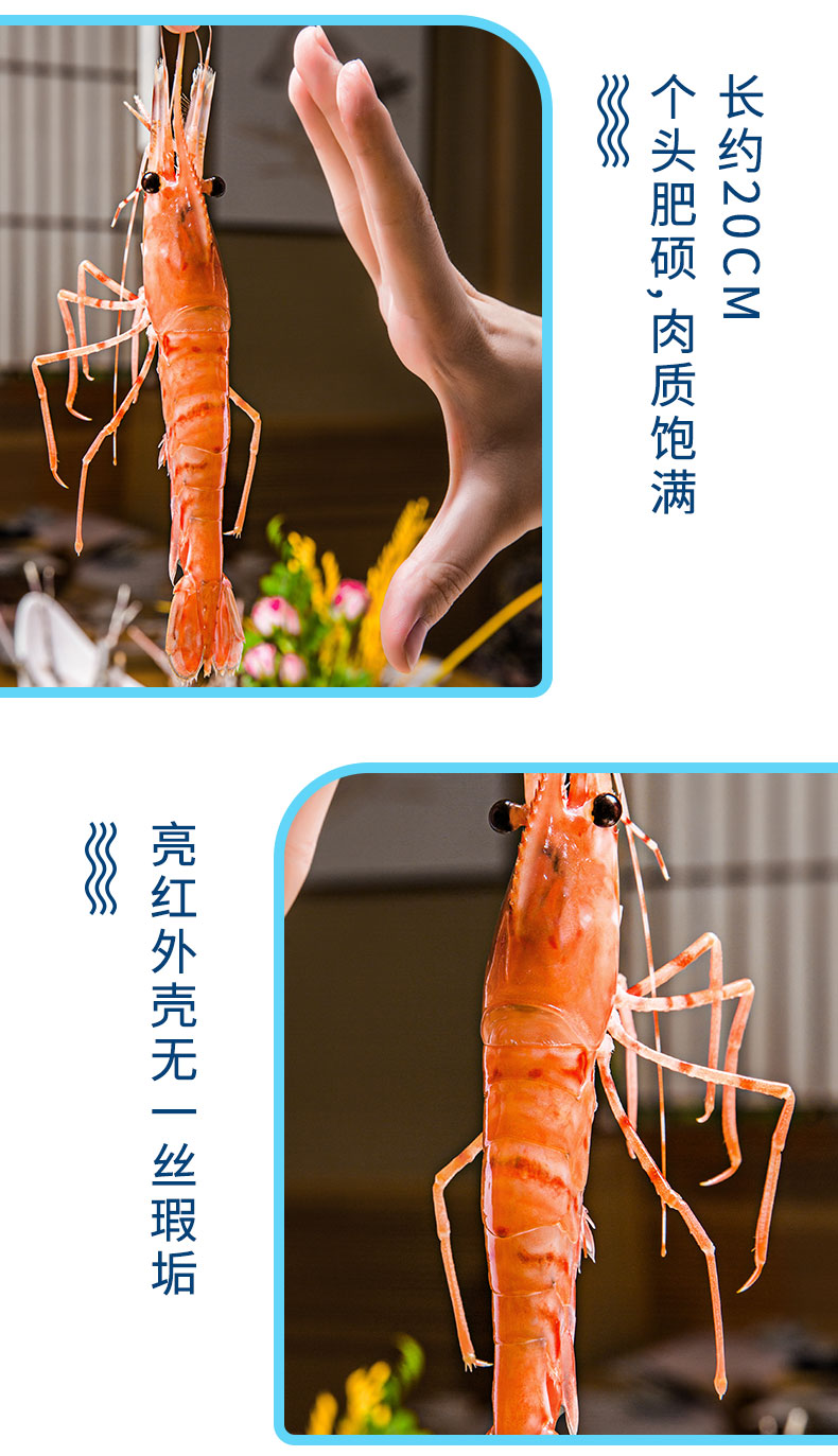 御浩 L1 阿根廷大红虾 净重4斤 单只18-20cm 图4