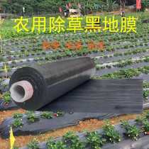 Black film weeding film agricultural thickening black film insulation film vegetable strawberry planting orchard fruit tree plastic film