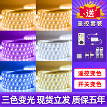 Lamp with LED three-color ceiling dimming 100 meters installed living room ultra-bright decorative slot concealed outdoor waterproof light strip 220V